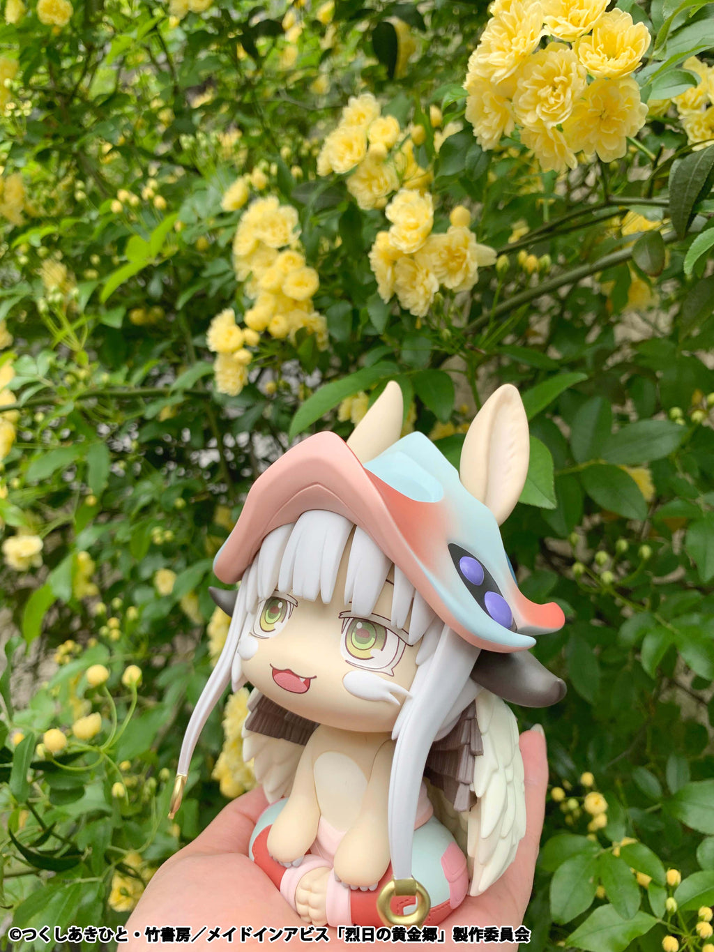 Lookup Nanachi (Re-Run)